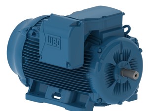 300___HP___WEG___AC___Motor.jpg