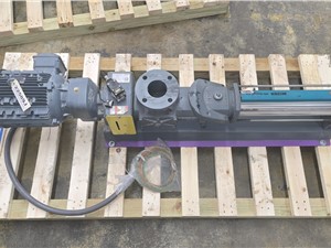 22589J___-___10___HP___Netzsch___Nemo___Cavity___Pump___(1).jpg