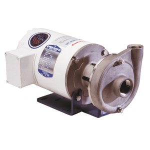 Price Centrifugal Pump w/ Motor CD100SS-4.94-21211-W58