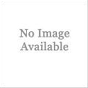 Flux Drum Pump Motor 10-46001022