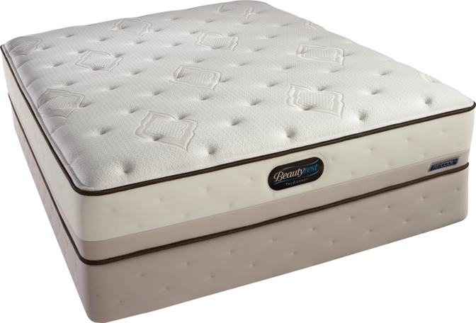 beautyrest truenergy mattress sets bryanna plush euro top