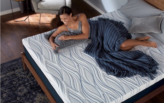 Serta Perfect Sleeper Express 12 Inch Plush - Luxury Mattress